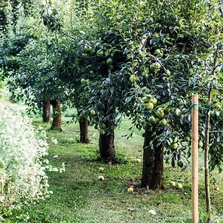 Ca' De Memi Bauernhof